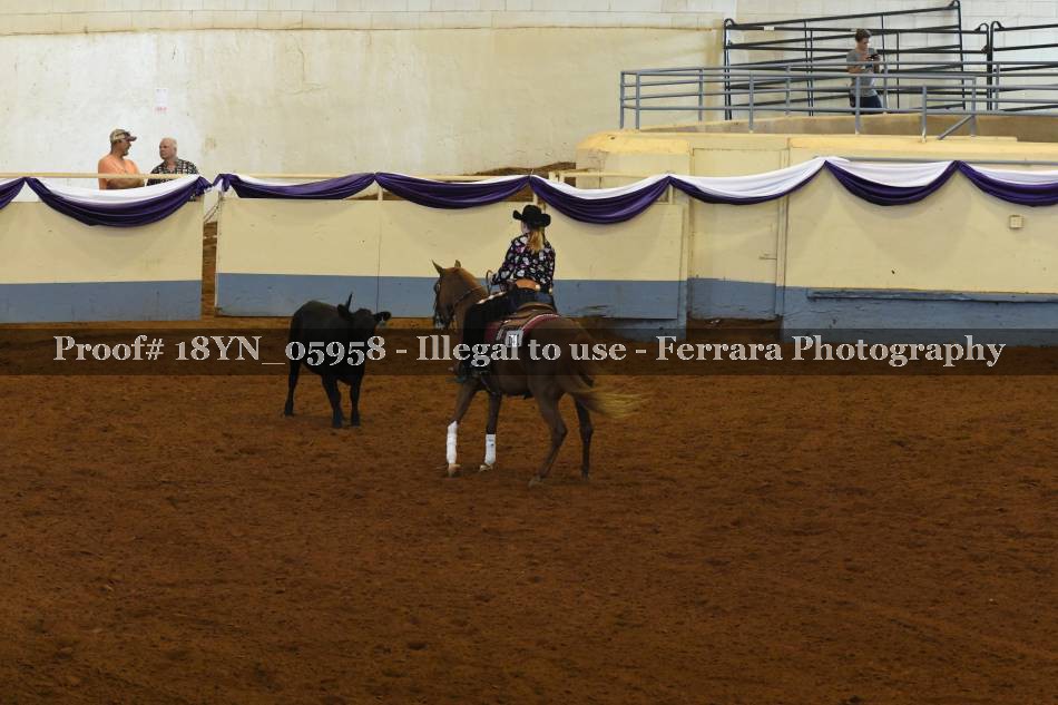 Proof 18YN_05958