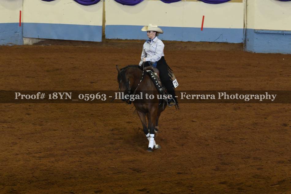 Proof 18YN_05963