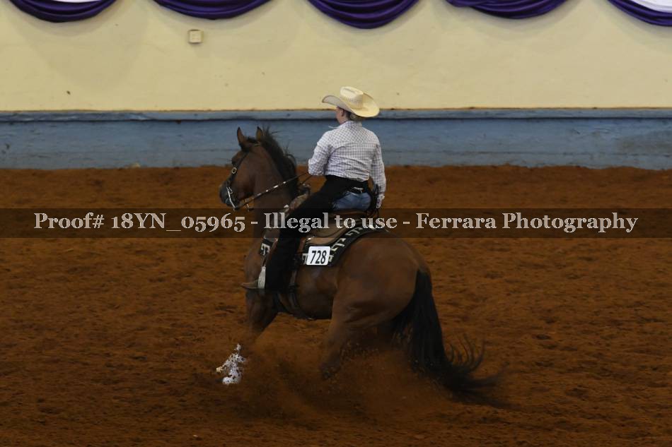 Proof 18YN_05965