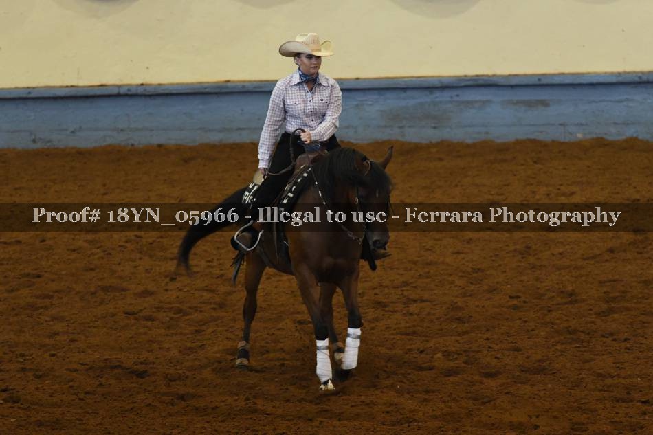 Proof 18YN_05966