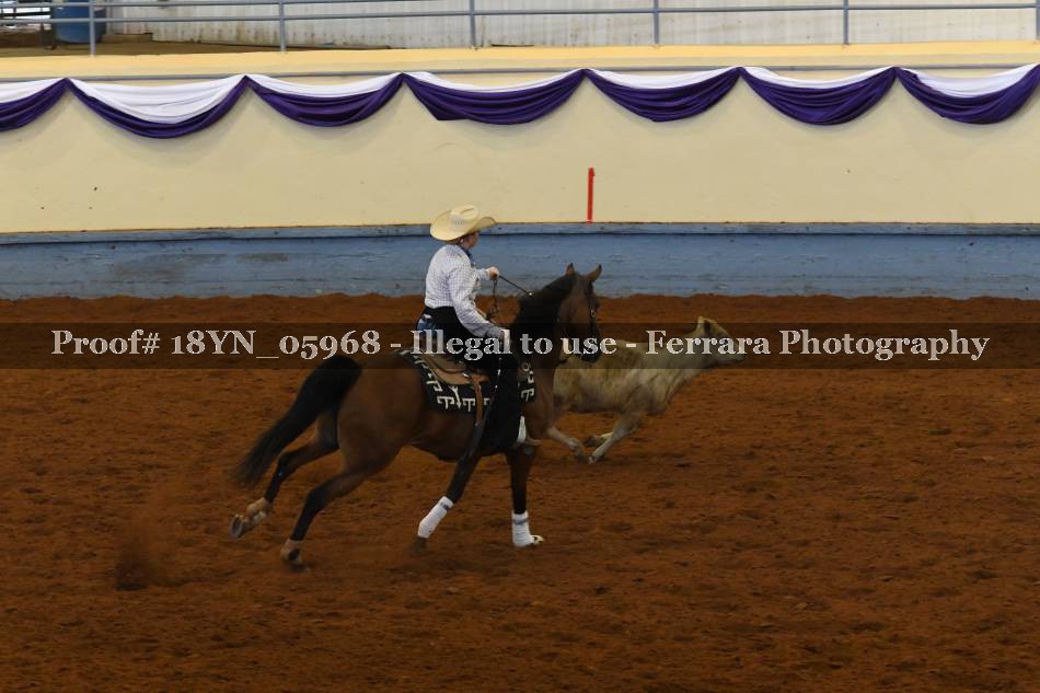 Proof 18YN_05968