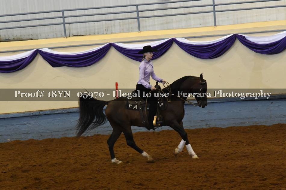 Proof 18YN_05970