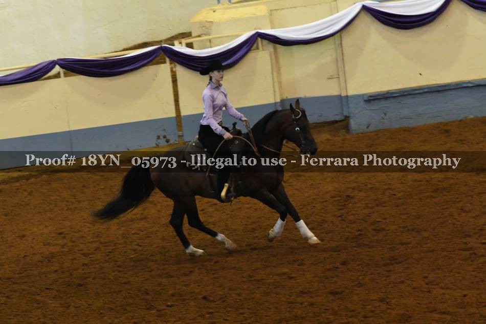 Proof 18YN_05973