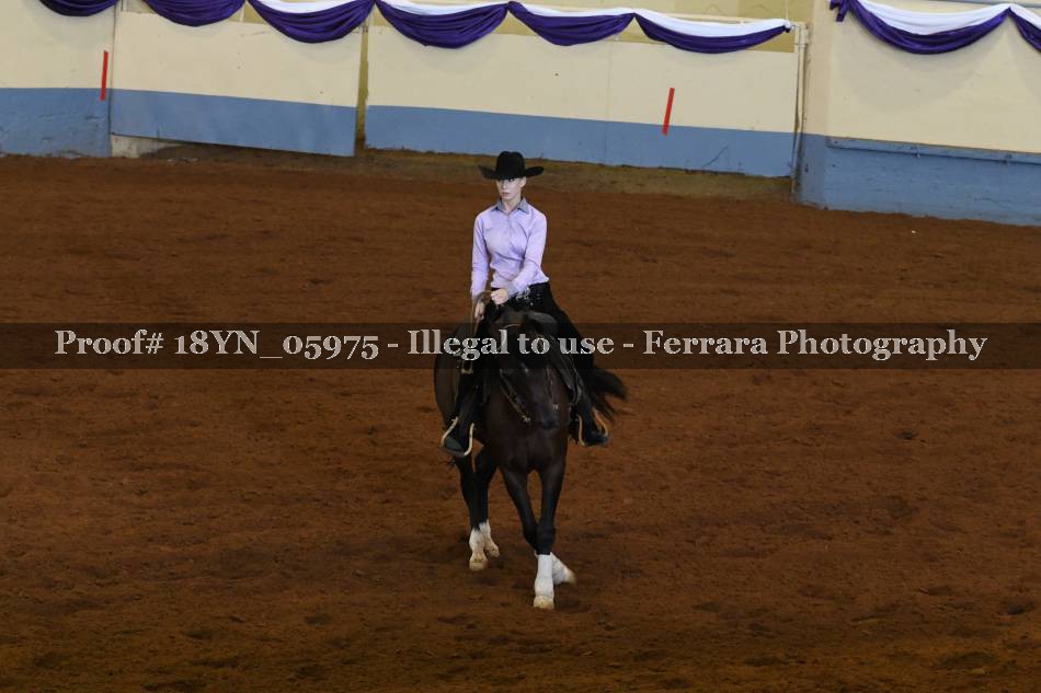 Proof 18YN_05975