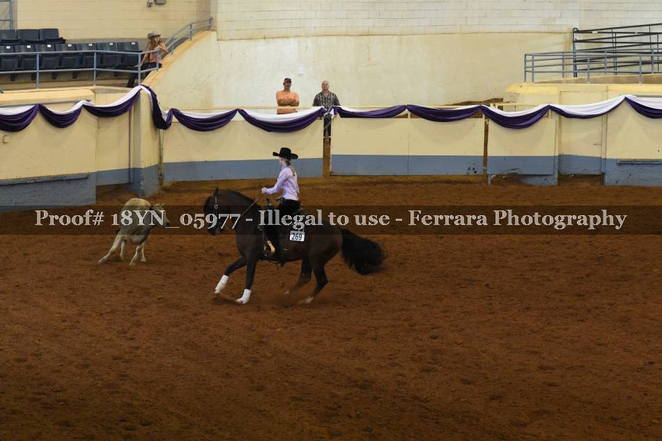 Proof 18YN_05977