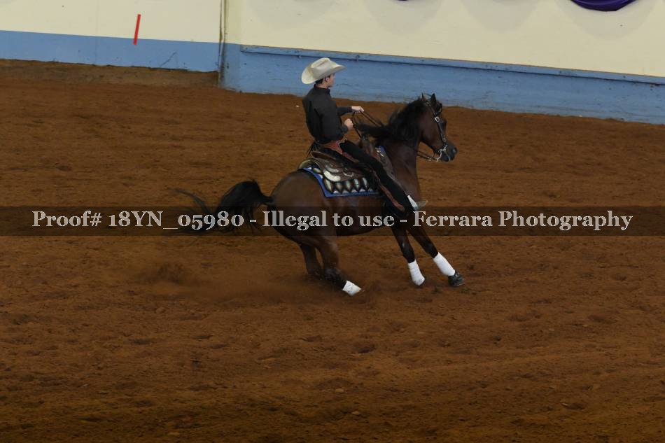 Proof 18YN_05980