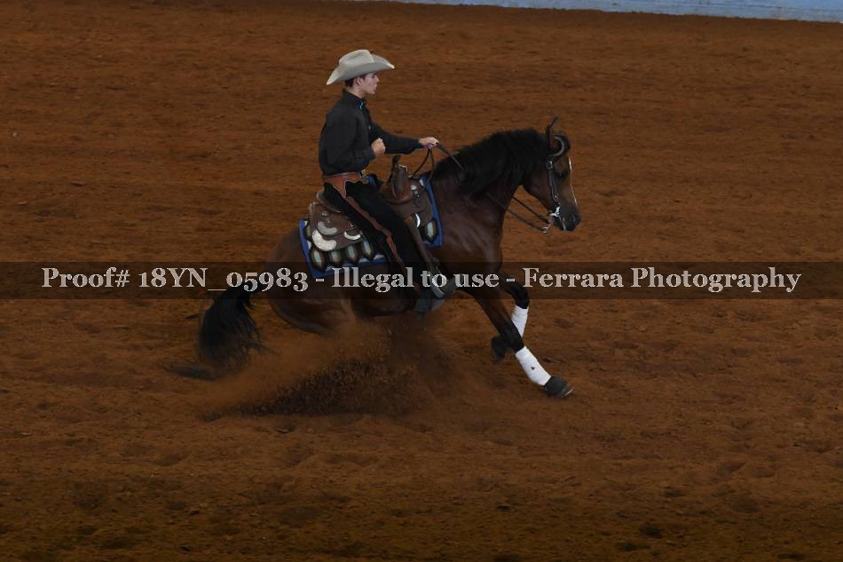 Proof 18YN_05983