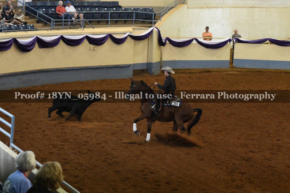 Proof 18YN_05984