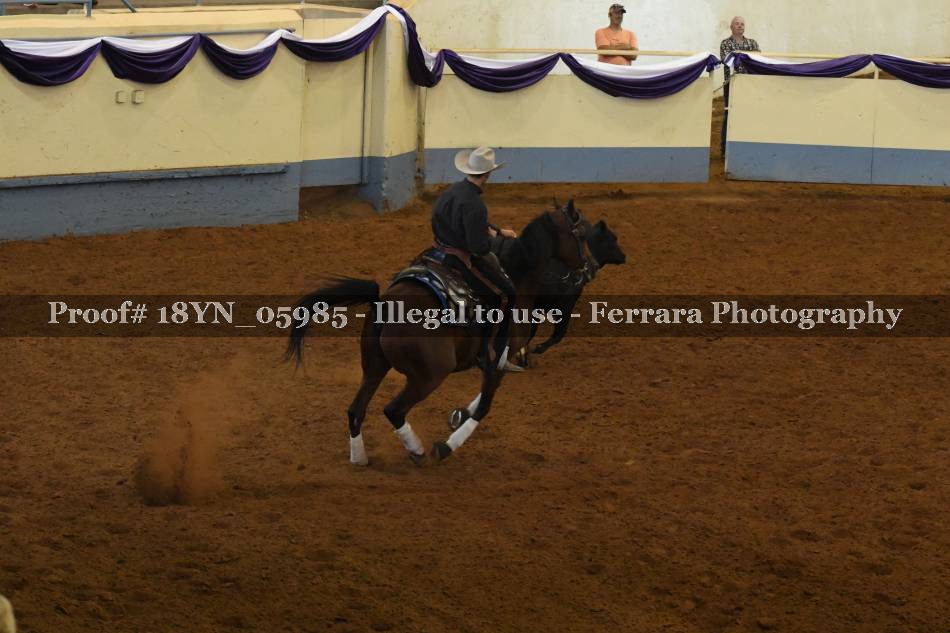 Proof 18YN_05985