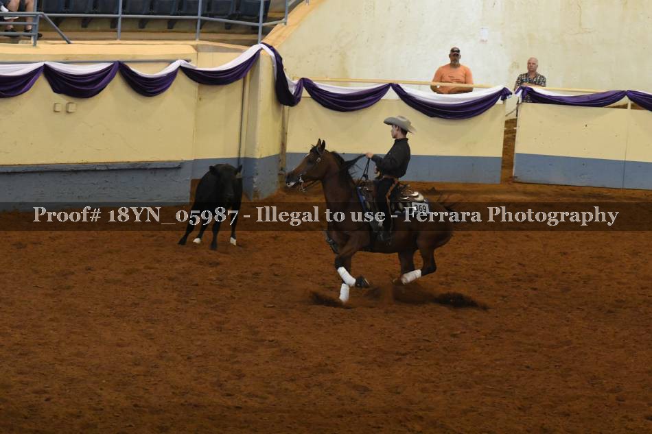 Proof 18YN_05987