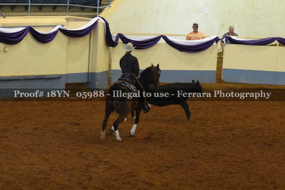 Proof 18YN_05988