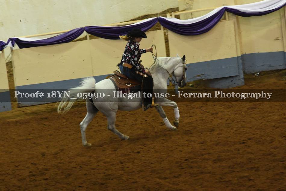 Proof 18YN_05990