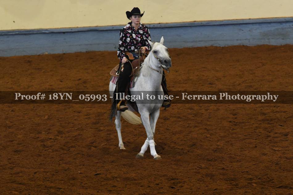 Proof 18YN_05993