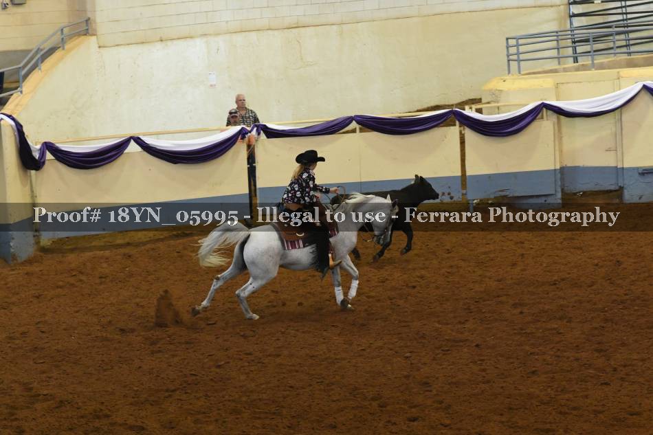 Proof 18YN_05995