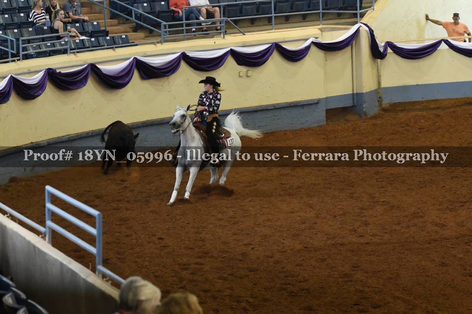 Proof 18YN_05996