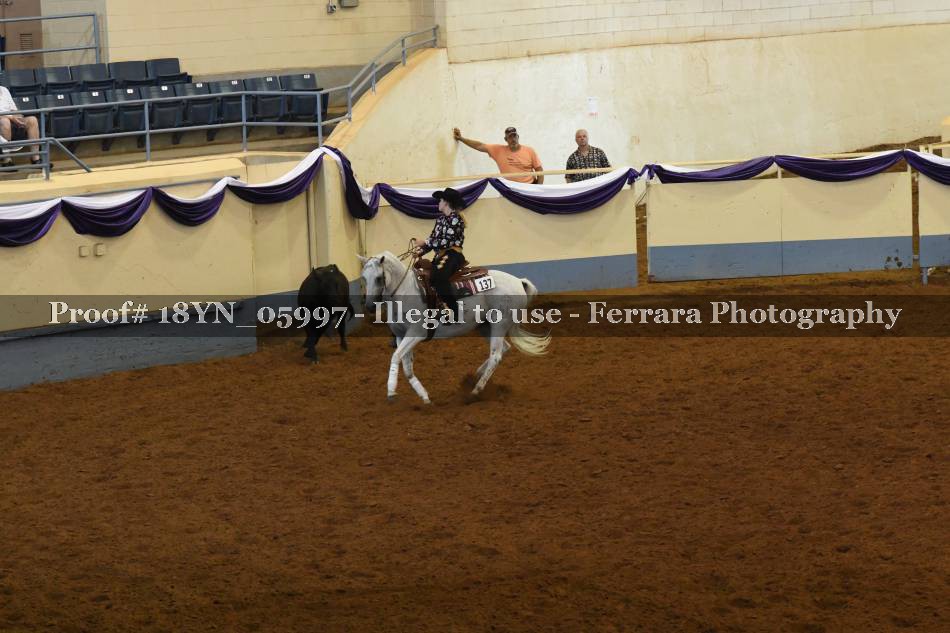 Proof 18YN_05997