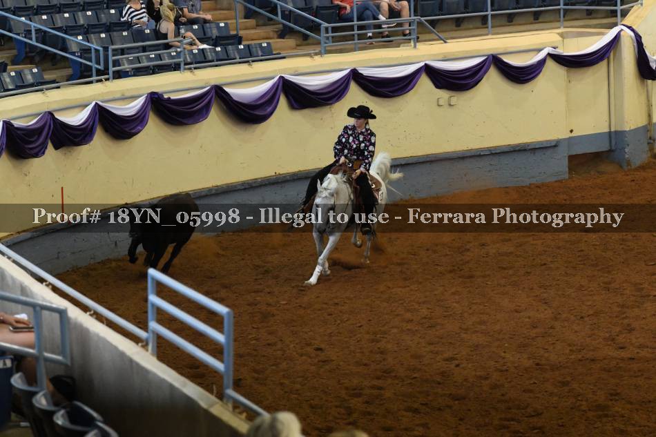 Proof 18YN_05998