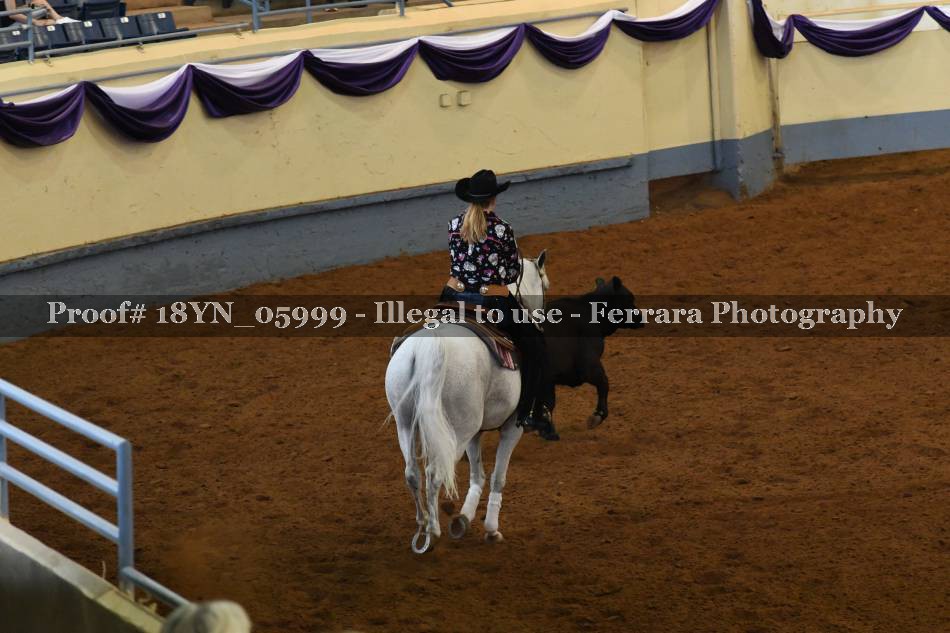 Proof 18YN_05999
