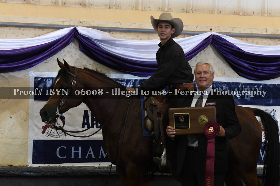 Proof 18YN_06008