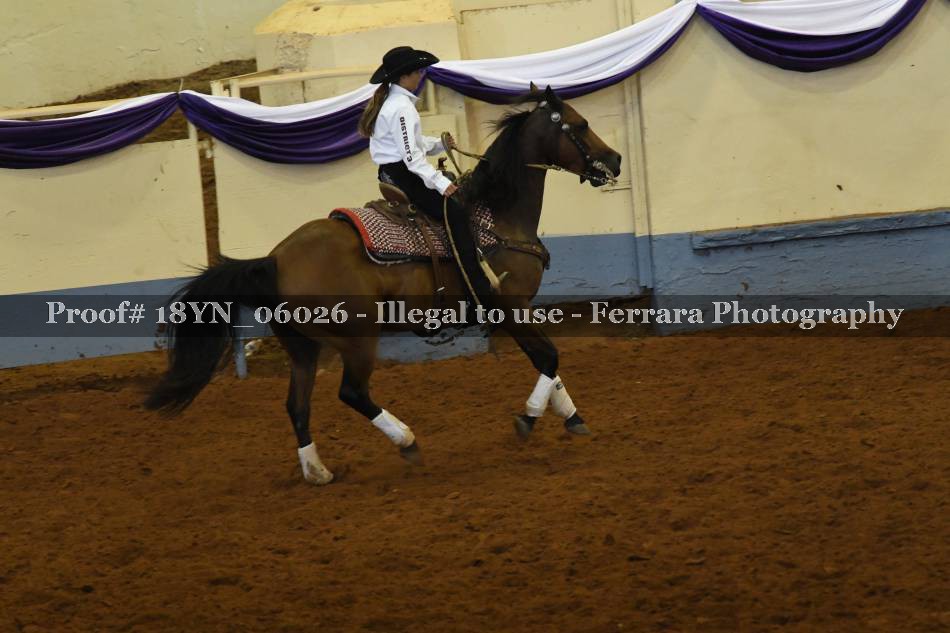Proof 18YN_06026