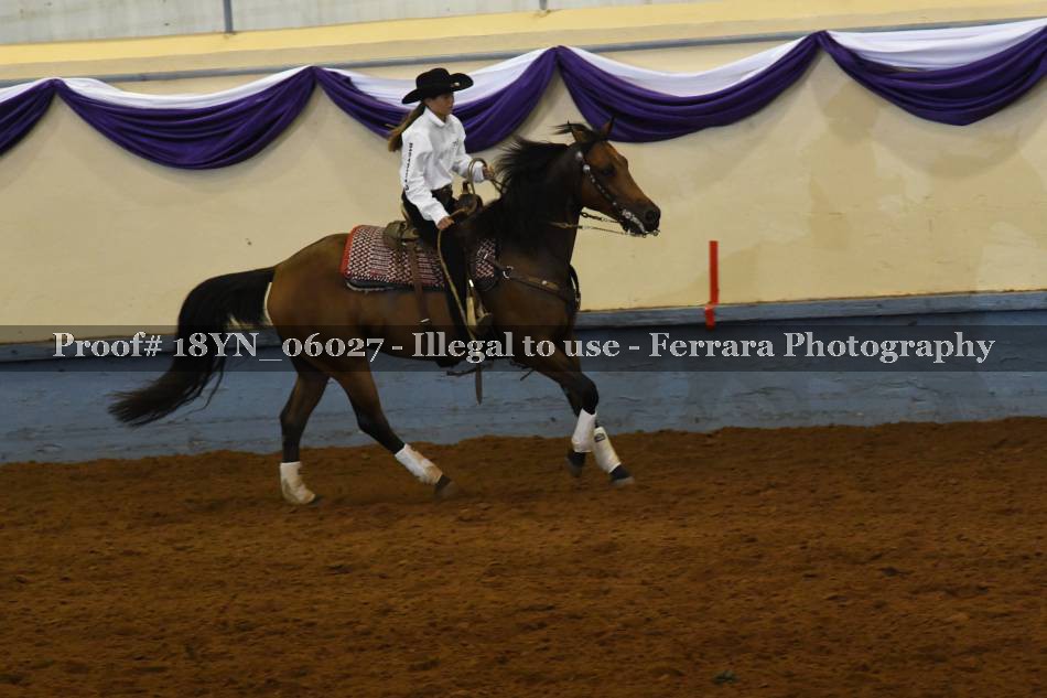 Proof 18YN_06027