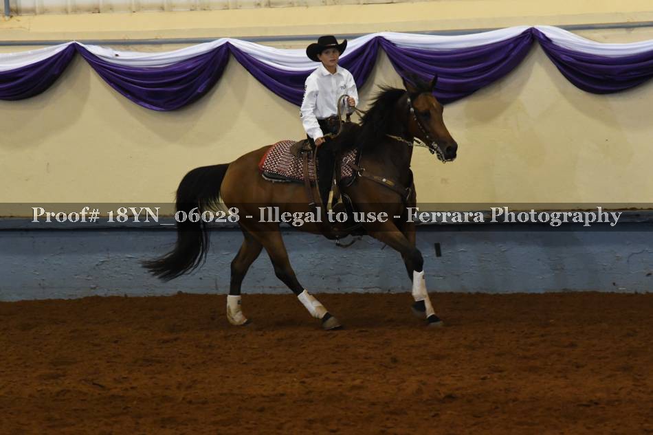 Proof 18YN_06028