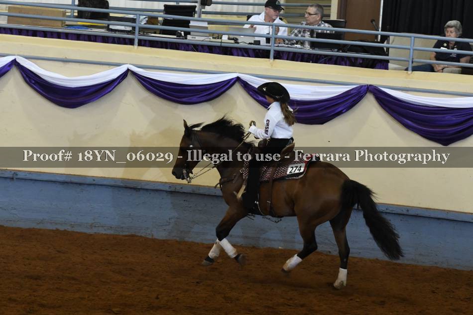 Proof 18YN_06029