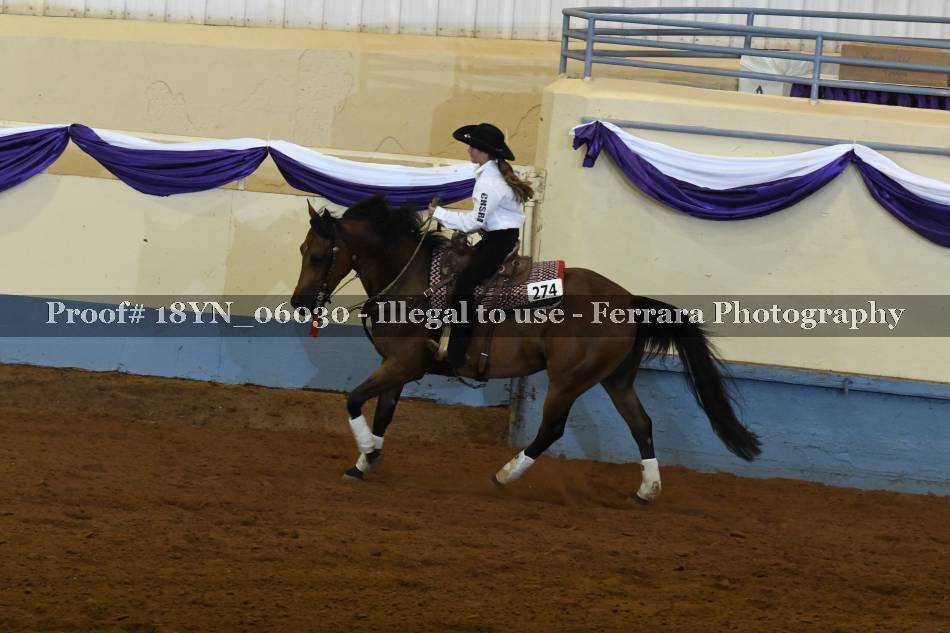 Proof 18YN_06030