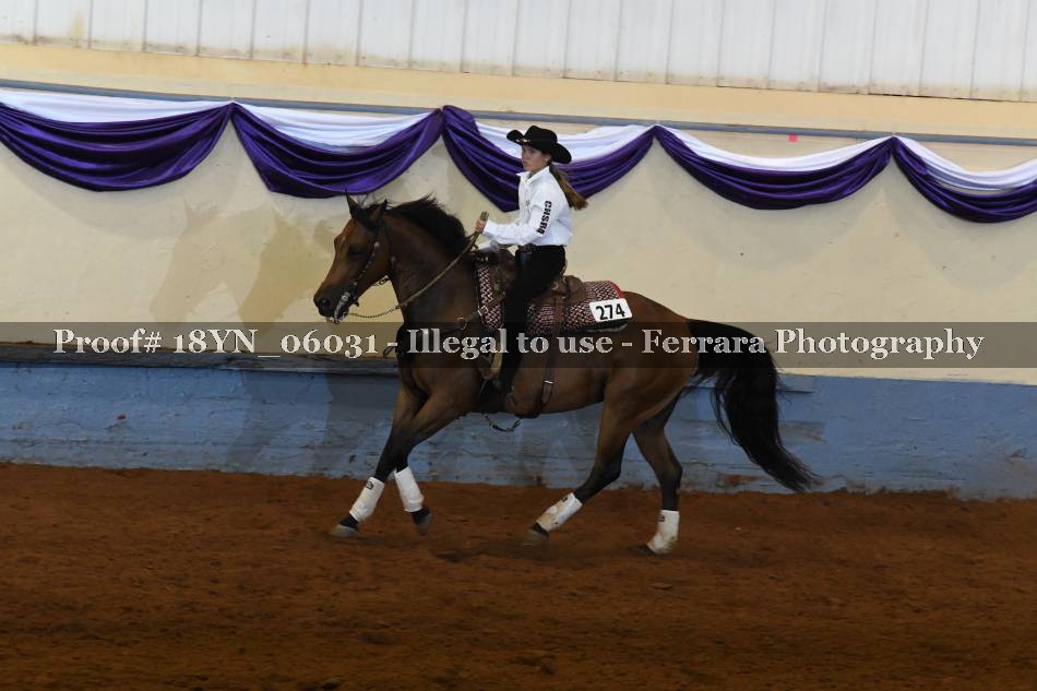 Proof 18YN_06031