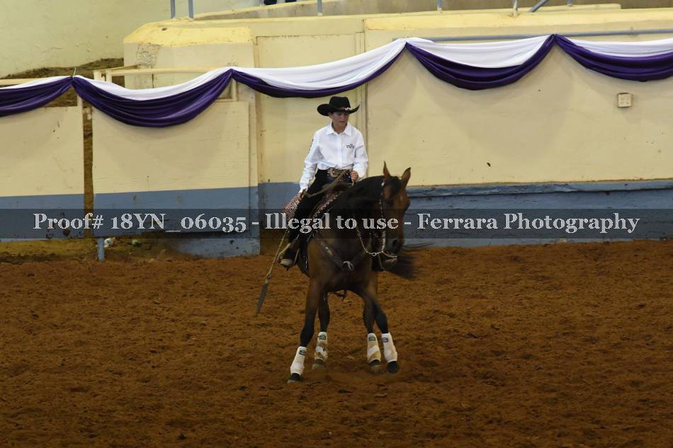 Proof 18YN_06035