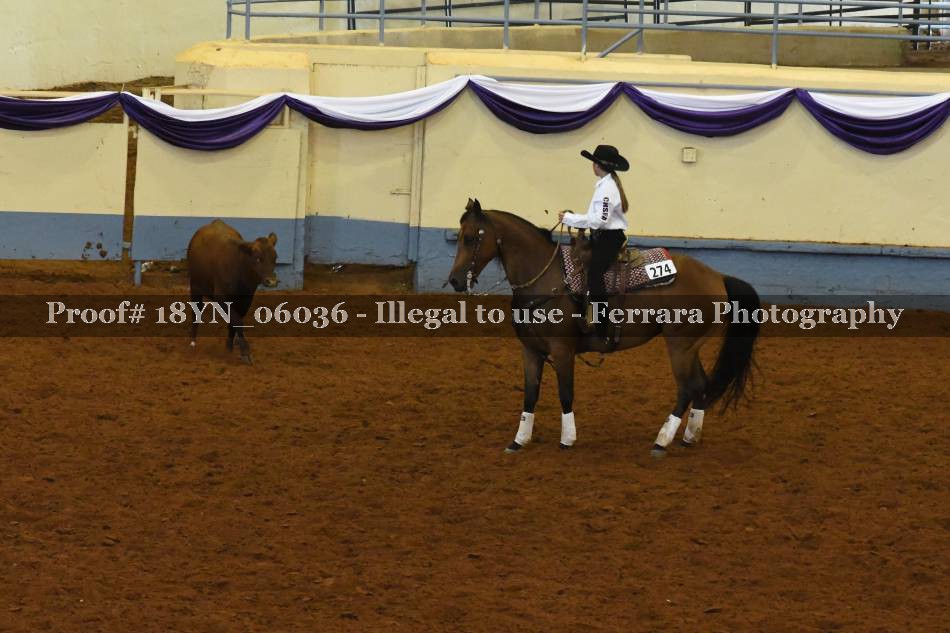 Proof 18YN_06036