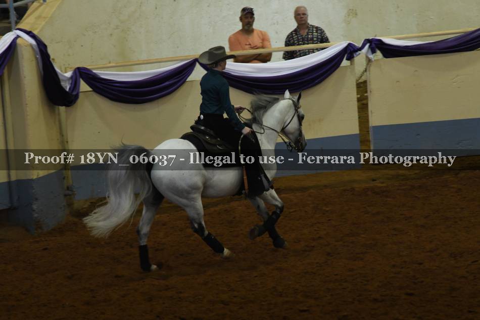 Proof 18YN_06037