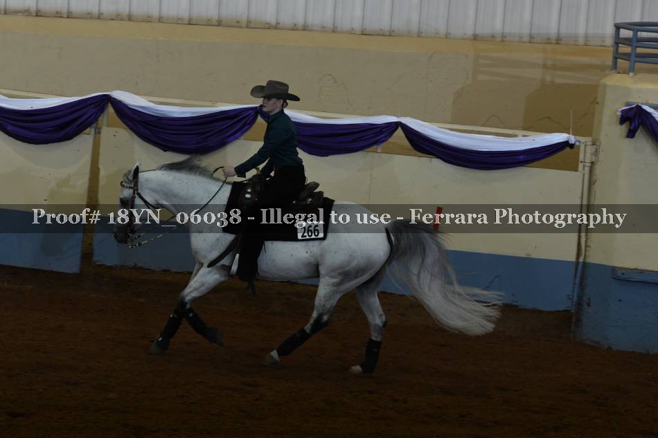 Proof 18YN_06038