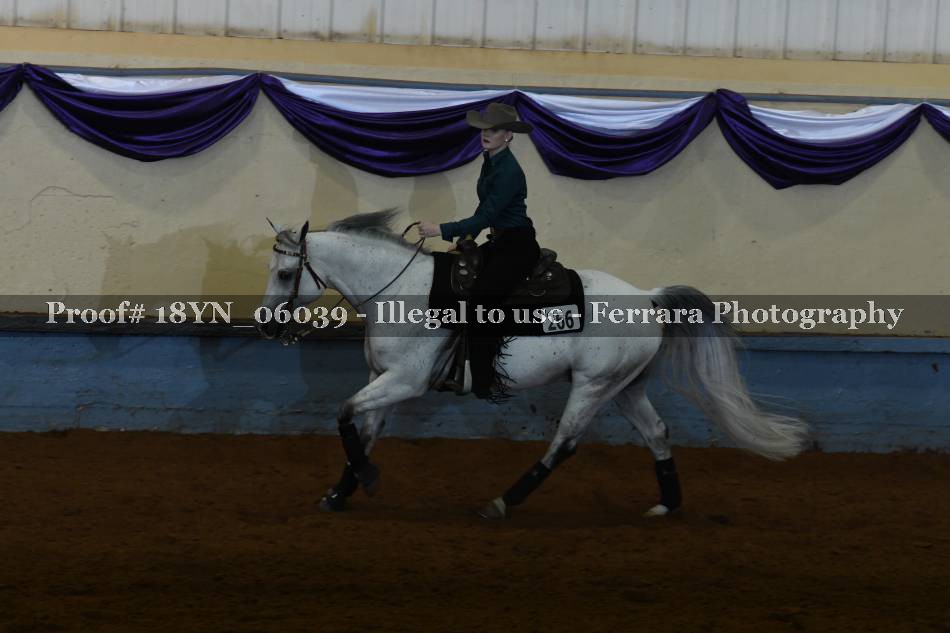 Proof 18YN_06039