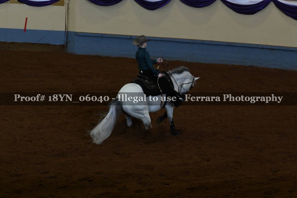 Proof 18YN_06040