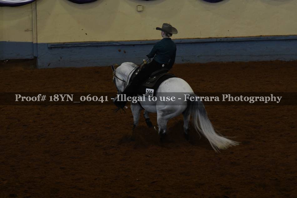 Proof 18YN_06041