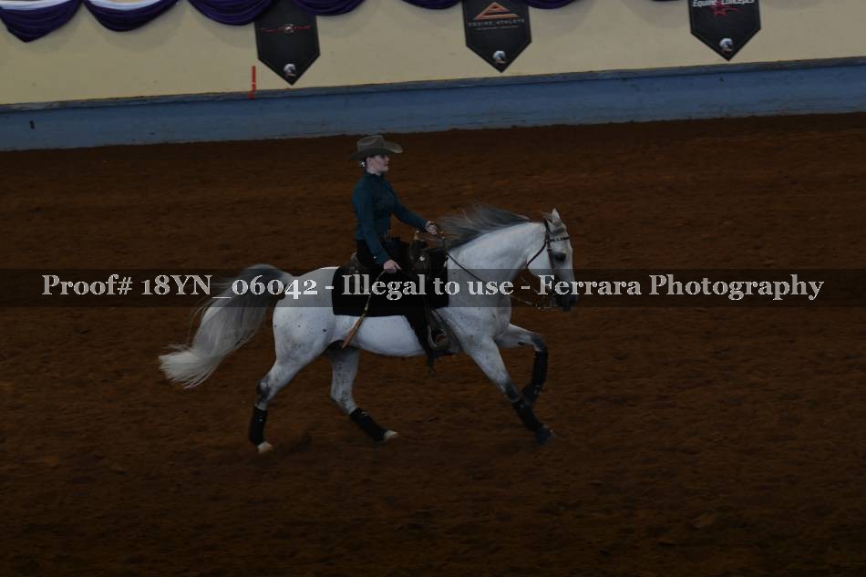 Proof 18YN_06042
