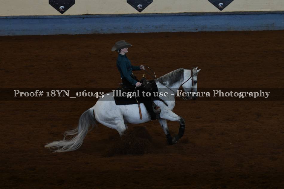 Proof 18YN_06043