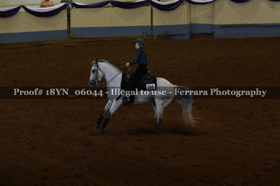 Proof 18YN_06044