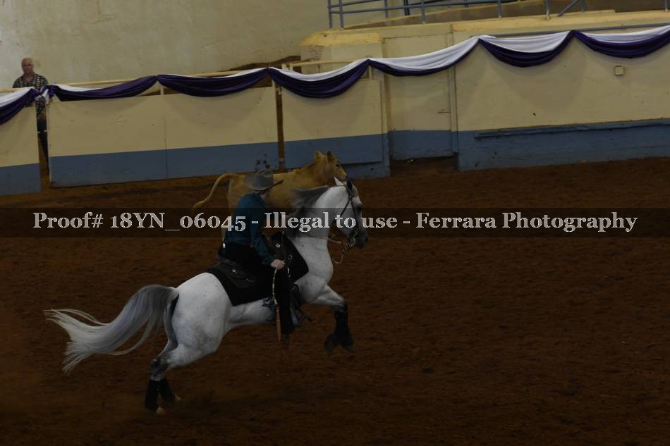 Proof 18YN_06045