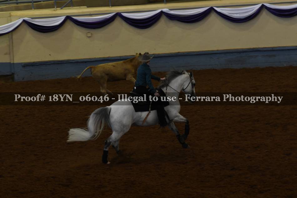 Proof 18YN_06046