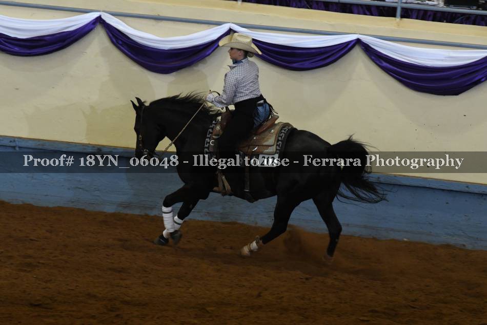 Proof 18YN_06048