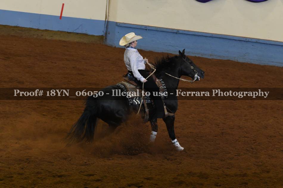 Proof 18YN_06050