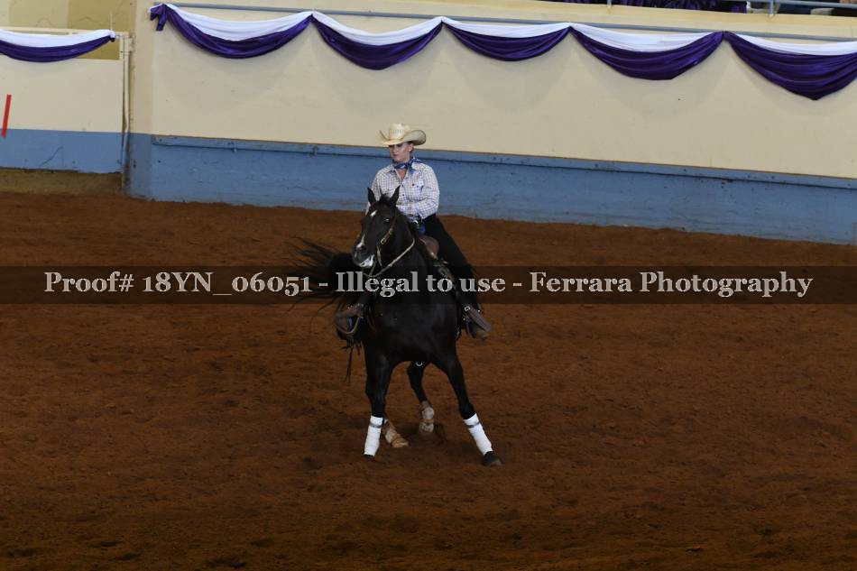 Proof 18YN_06051