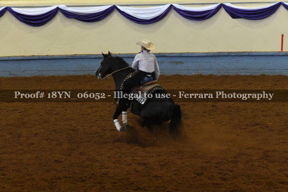 Proof 18YN_06052