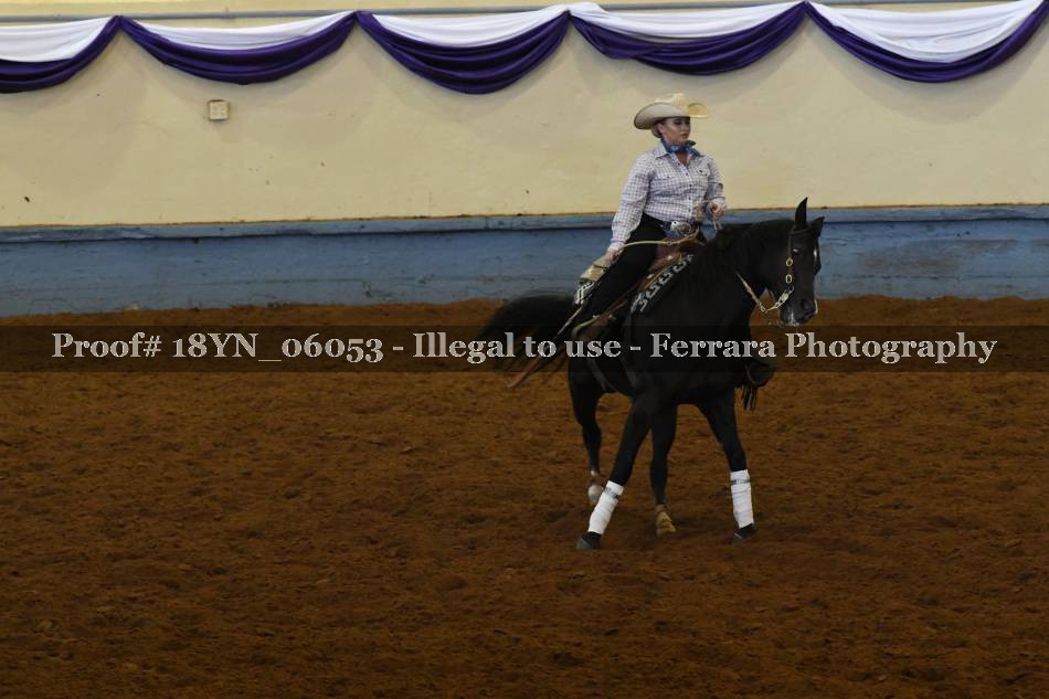 Proof 18YN_06053