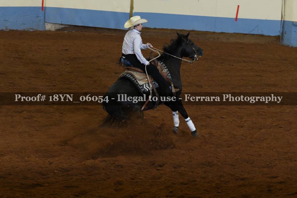 Proof 18YN_06054