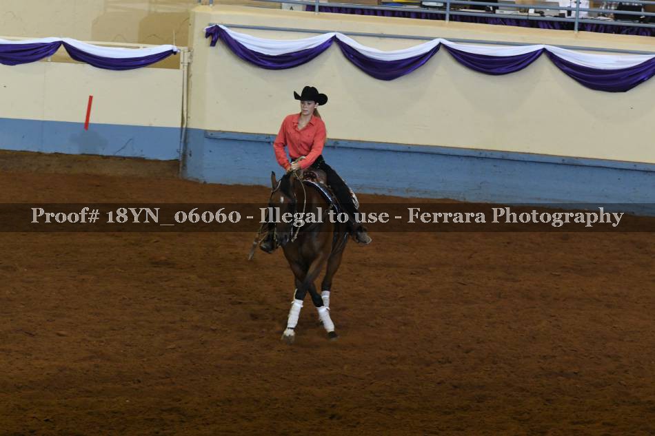 Proof 18YN_06060