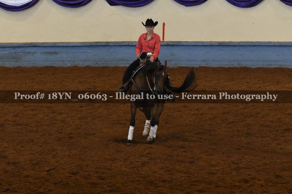 Proof 18YN_06063