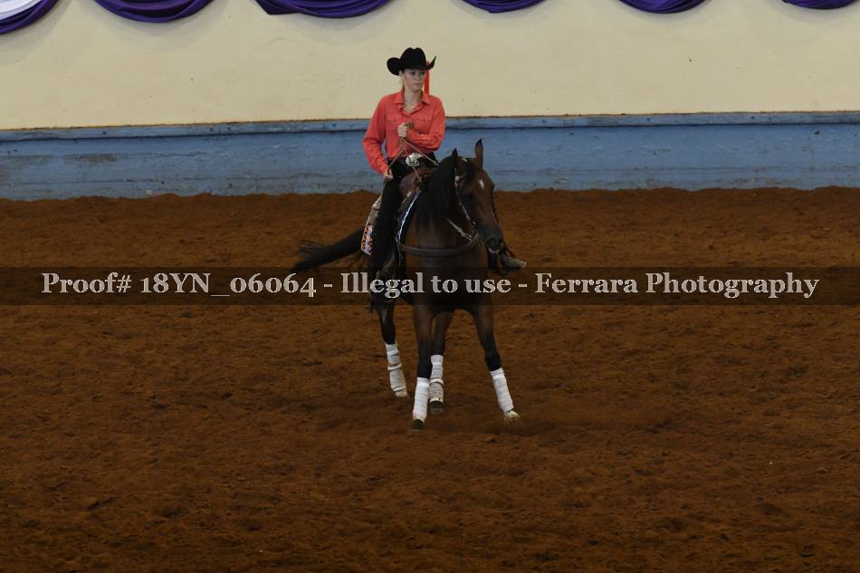 Proof 18YN_06064